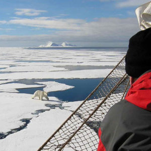 Svalbard - Orso Polare