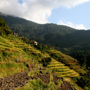 Nepal, paesini arroccati sui pendii lavorati per le coltivazioni