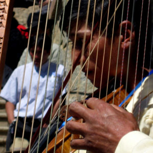 Festa popolare in Perù con violino e arpa