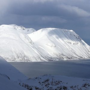 Luci fredde sul fiordo norvegese