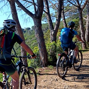 Seguendo le strade forestali con le e-bike lungo la GTE