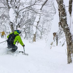 Japan powder