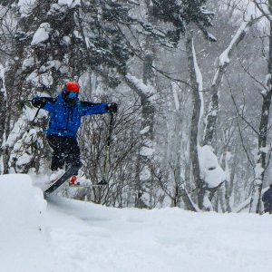 Japan powder