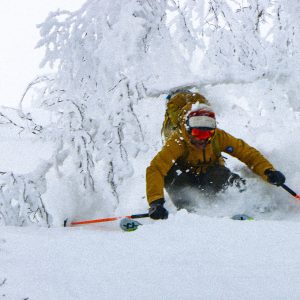 Japan powder