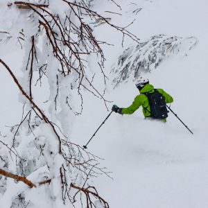 Japan powder