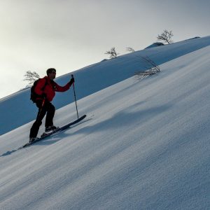 Traccia su neve soffice - Norvegia