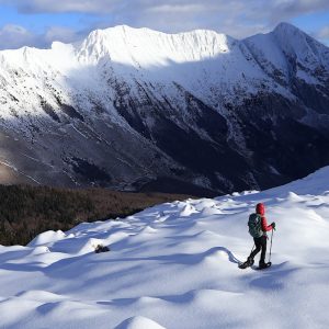 Sulla dorsale del Krasji Vrh verso la catena del Monte Krn