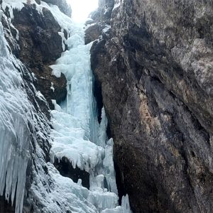 La candela di Stella e Lucciole