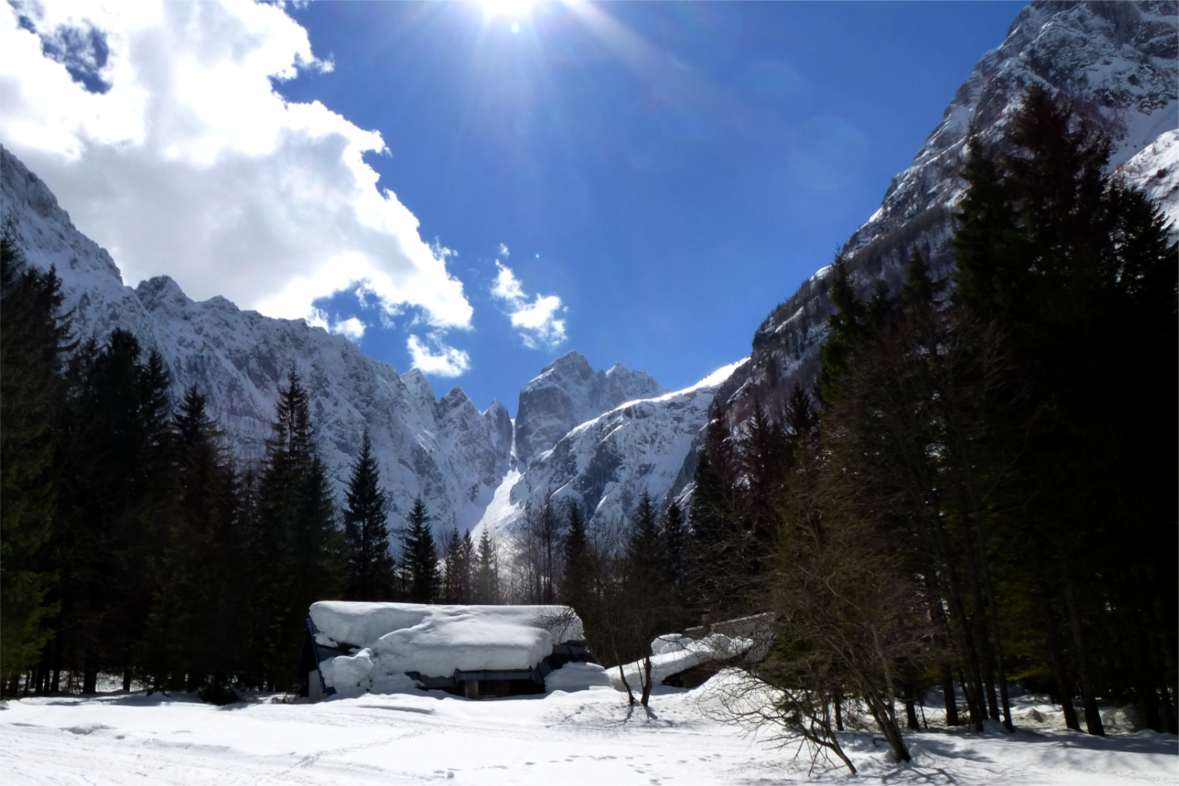Ampia vista verso il Prisojnik dalla valle del Tamar