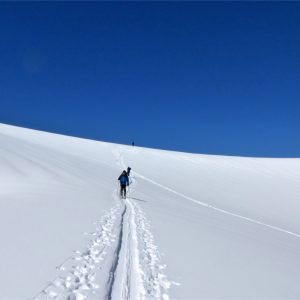 Verso il Colle del Lys