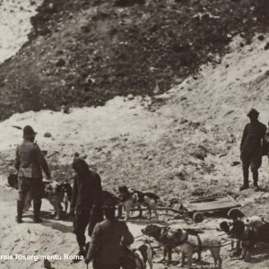 inMont_fonte_Museo_Centrale_Risorgimento_Roma_01