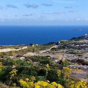inMont_Trekking_Gozo_20230404_01